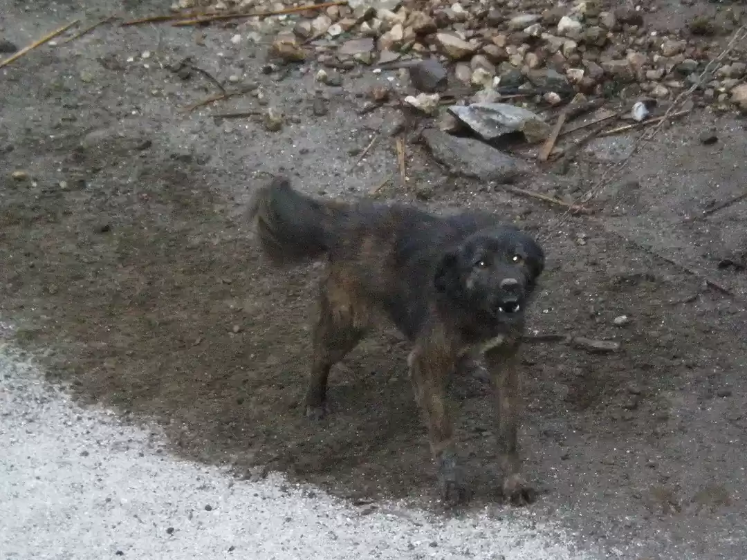 Photo of I Can Sense The Supe