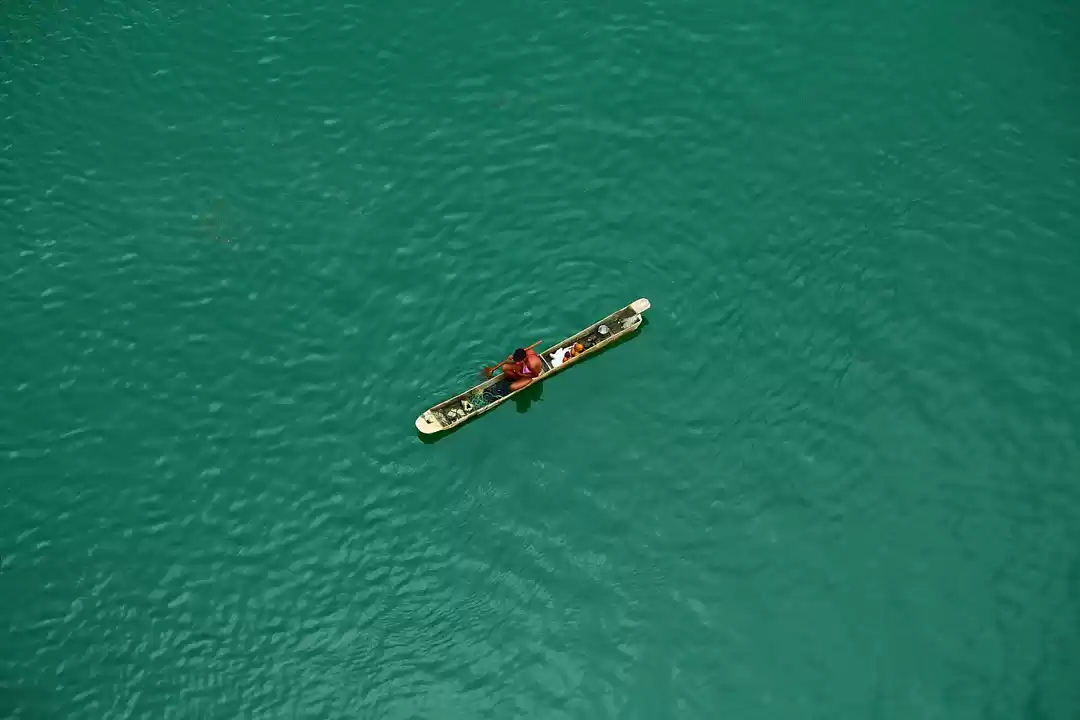 Photo of It Doesn’t Need Hima