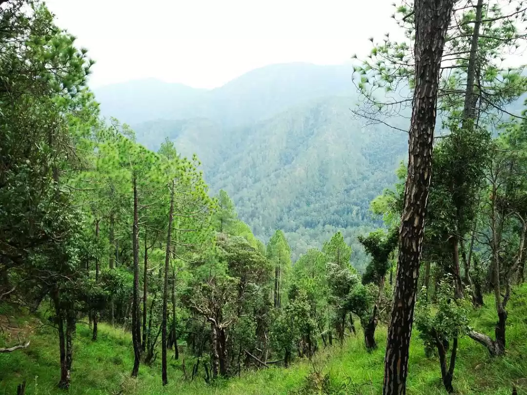 Photo of A Trek to Get the Mo