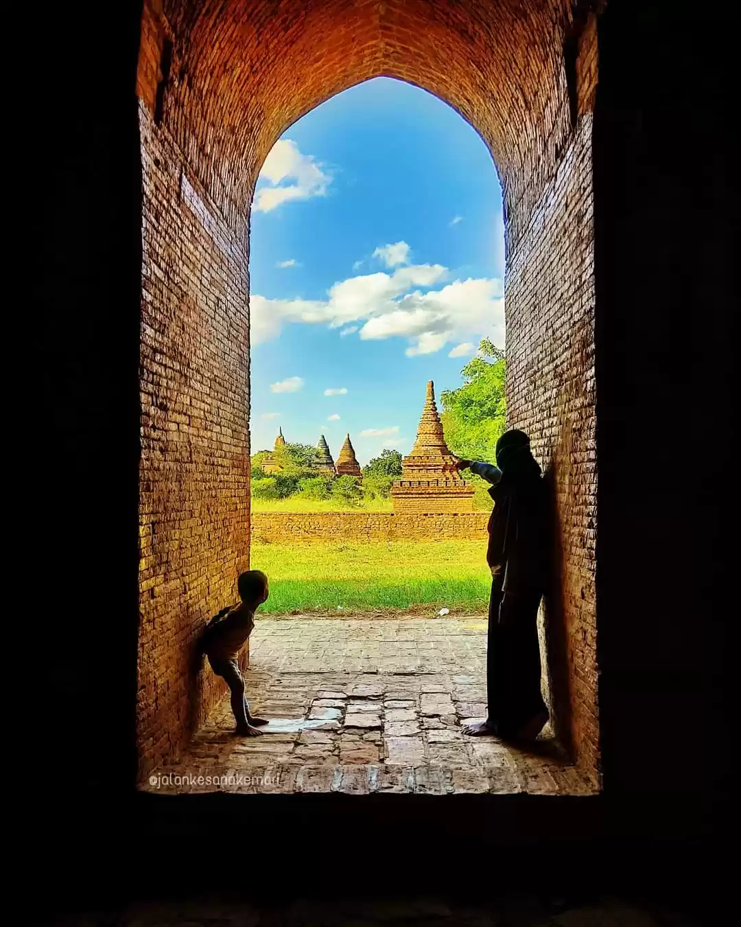 Photo of This Indonesian Moth