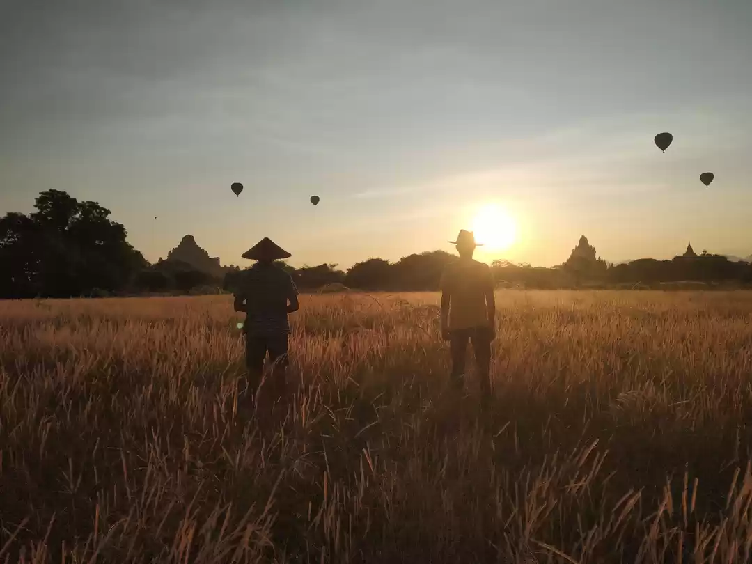 Photo of The Burmese love Ind