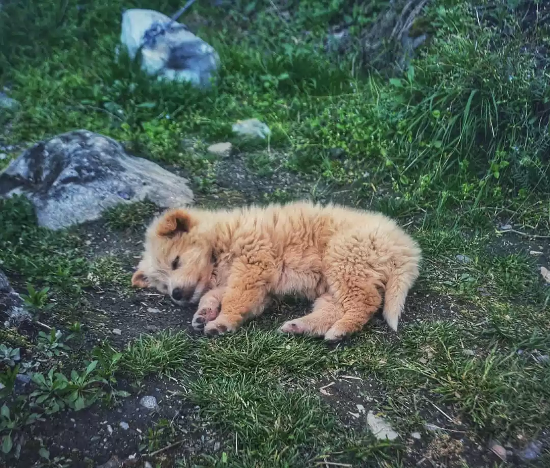 Photo of An Open Letter to th