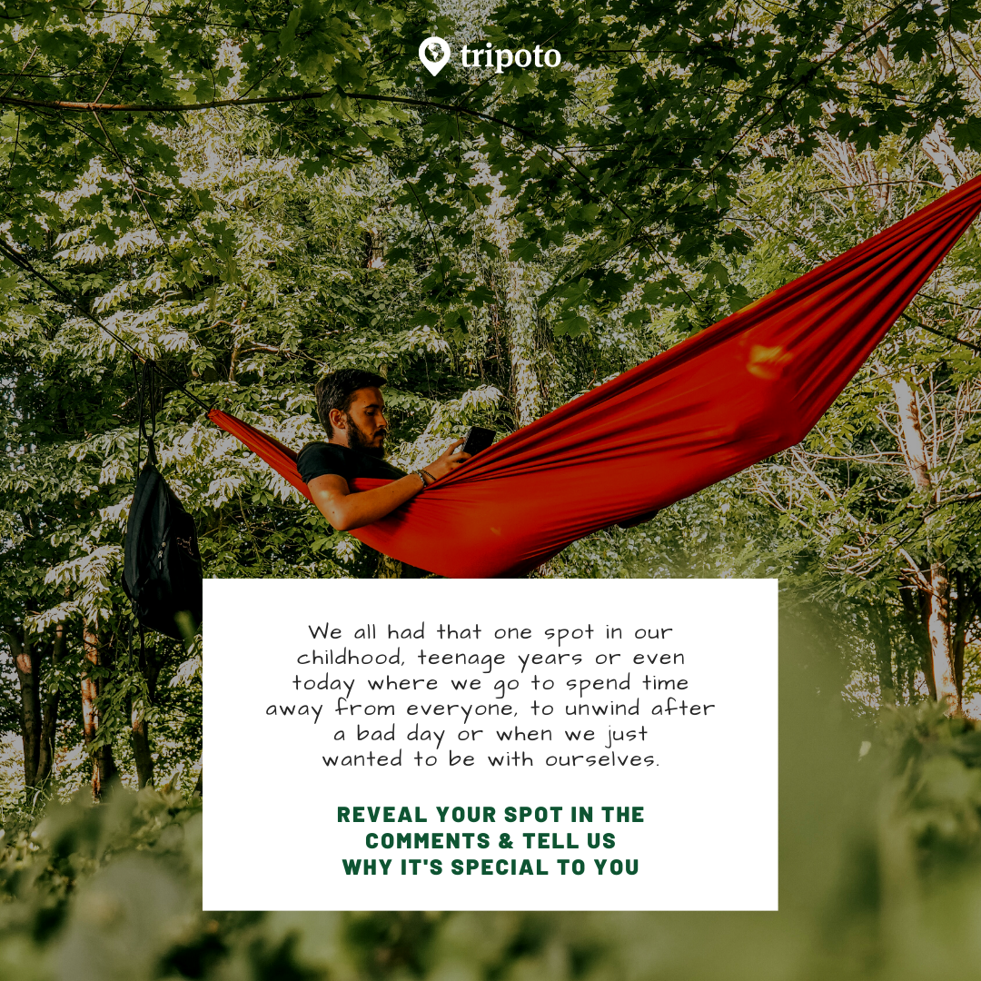 Photo of Travellers Reveal Th