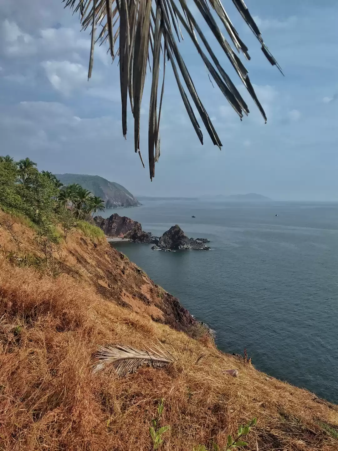 Photo of 10 Spots in Goa for 