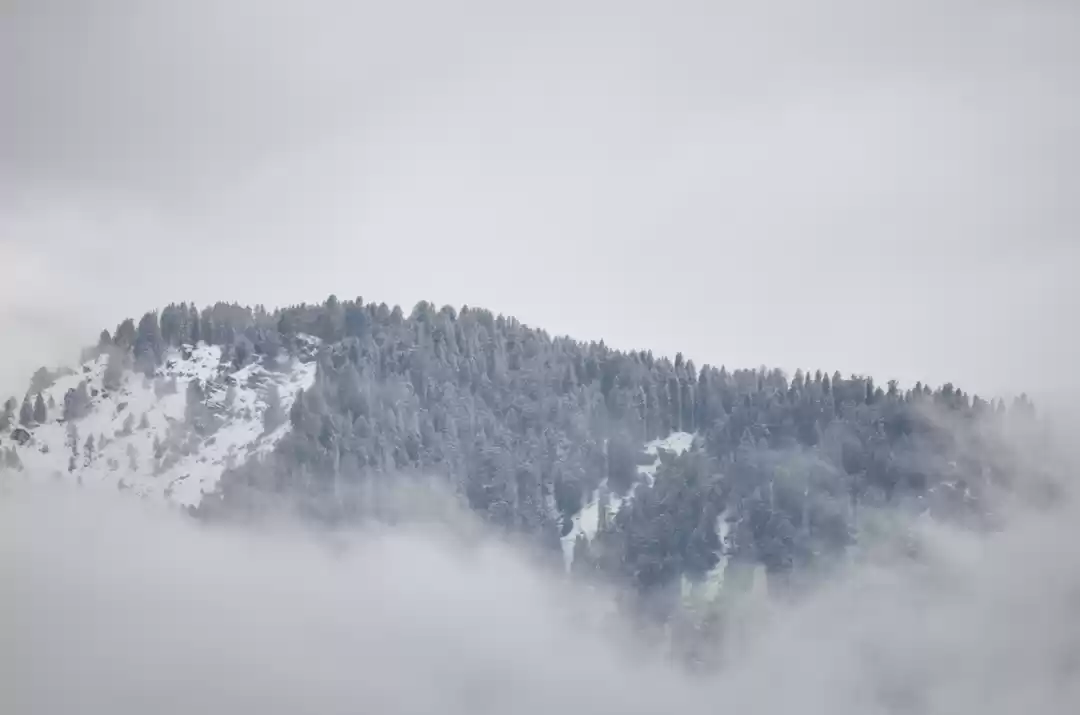 Photo of A trip that changed 