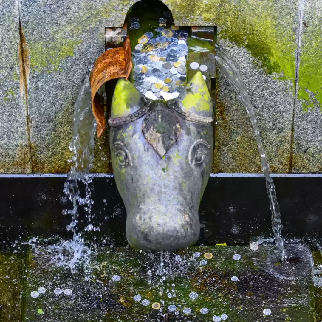 Photo of Origin of river cauv