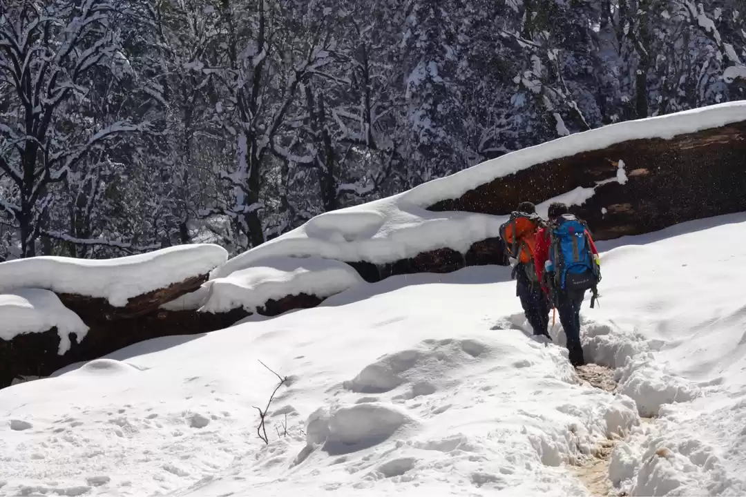 Photo of Hike to kedarkantha