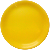 Photo of My Yellow Plate