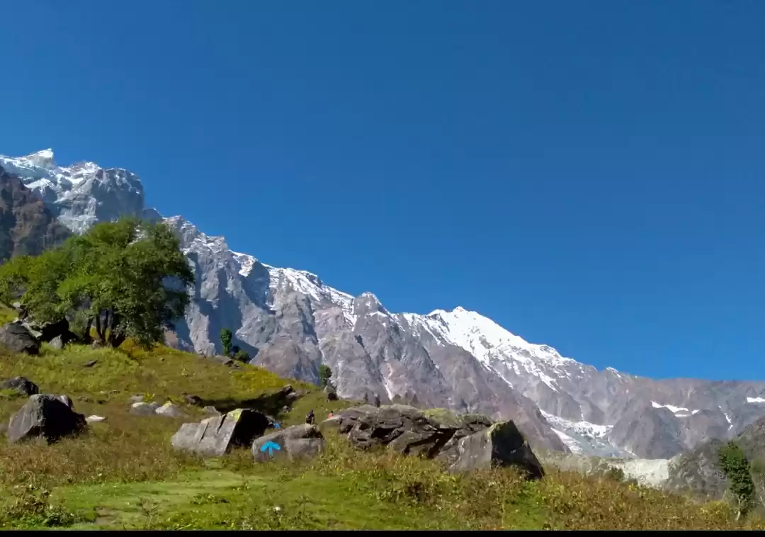 Photo of Plucking each petal