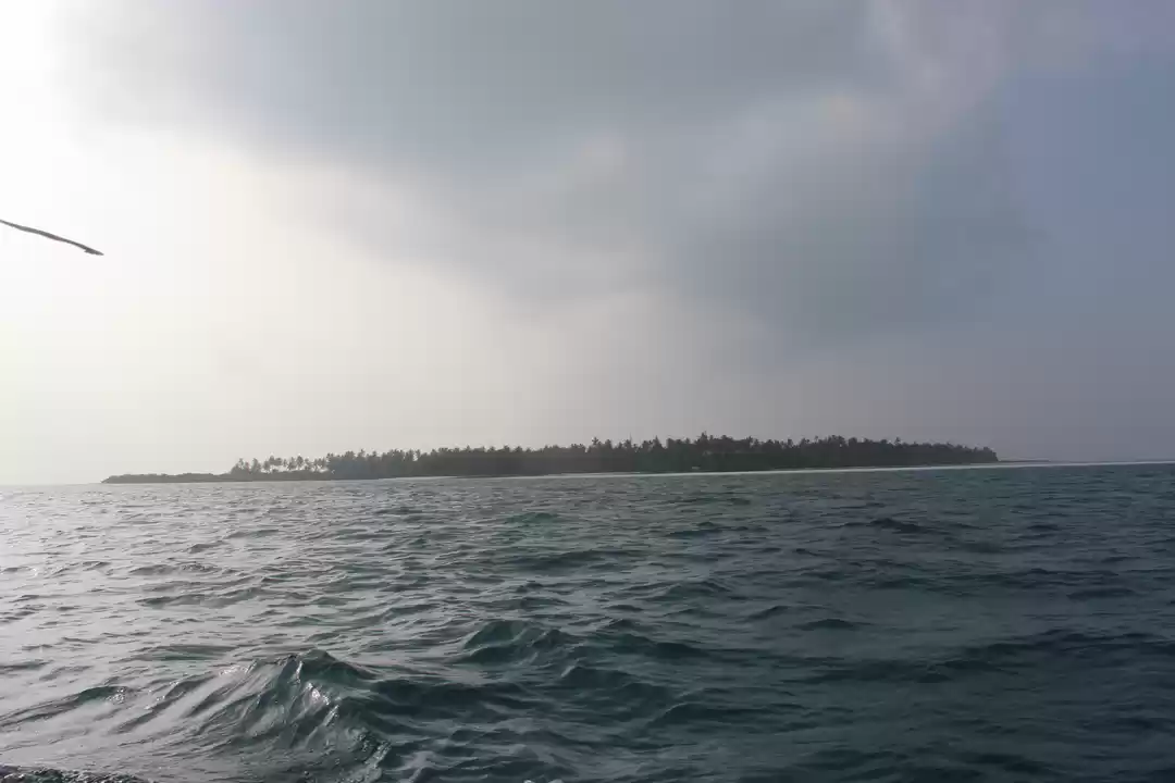 Photo of Beautiful Bangaram