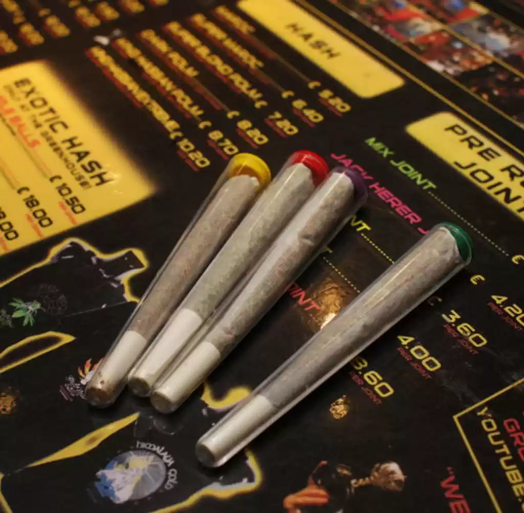Photo of With Organic Joints 