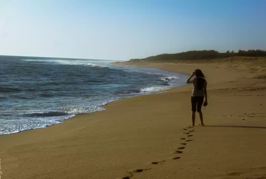 Photo of My Gujarat travel wi