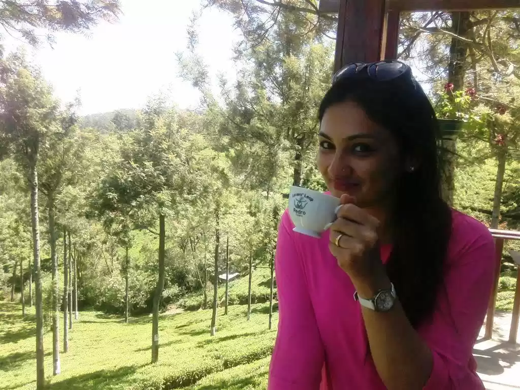 Photo of Exploring the tea tr