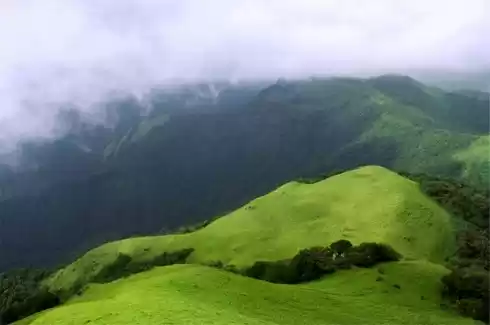 Photo of Mesmerizing Coorg-th