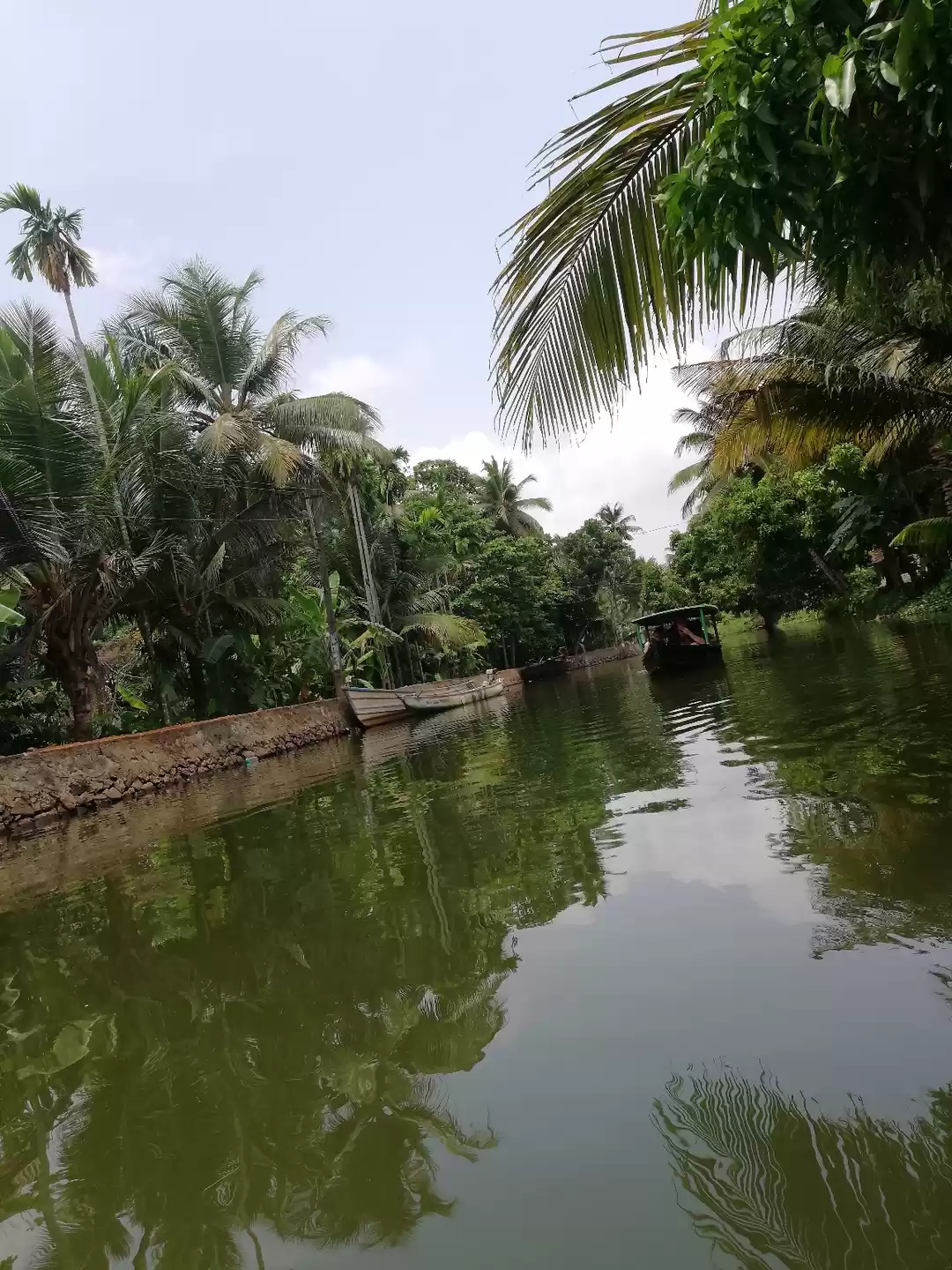 Photo of Through Kerala's bac