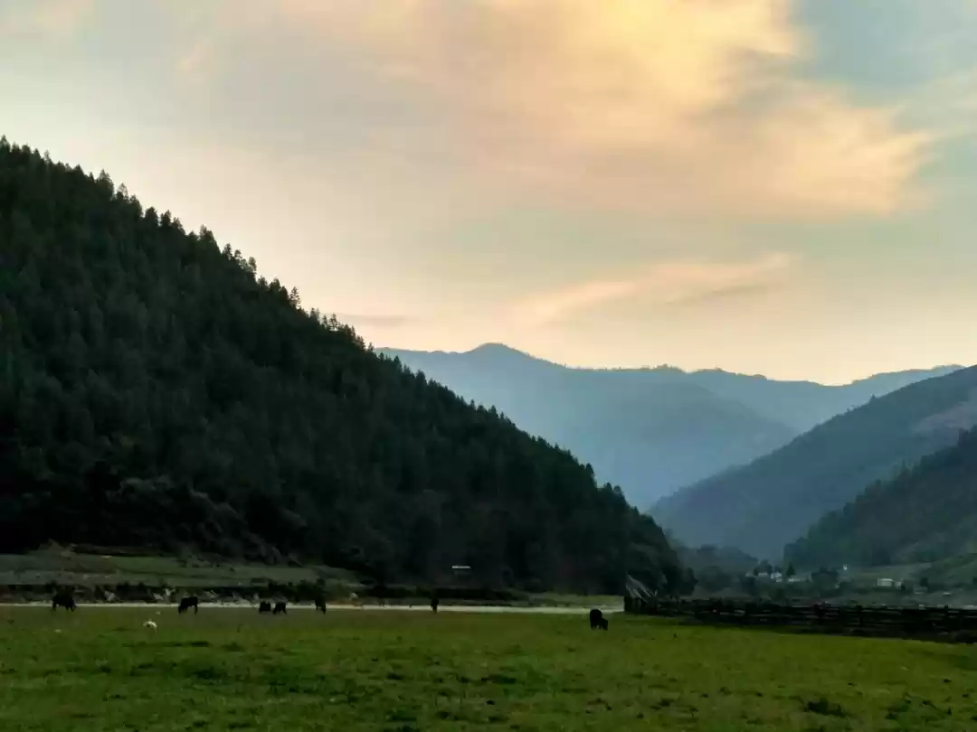 Photo of A roadtrip to land o