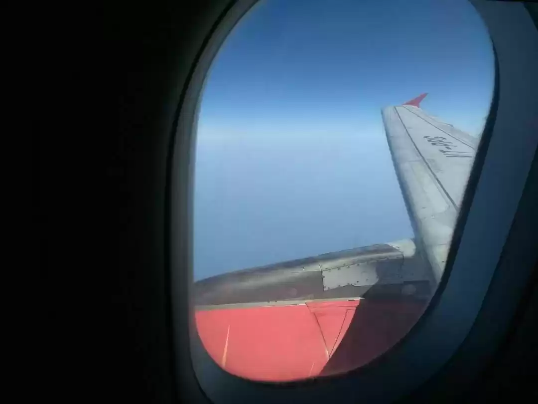 Photo of The Indian Pearls in