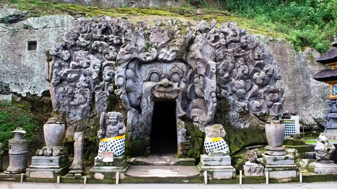 Photo of Best of Bali!