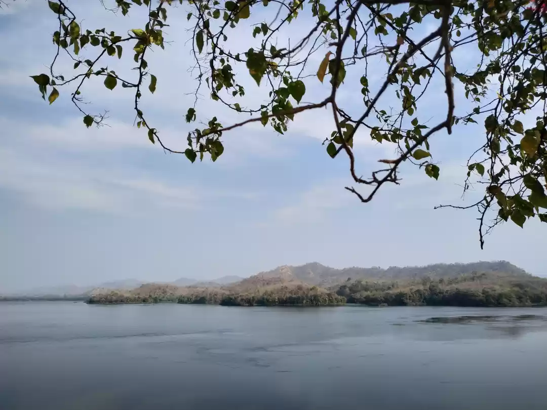 Photo of Statue of Unity | On