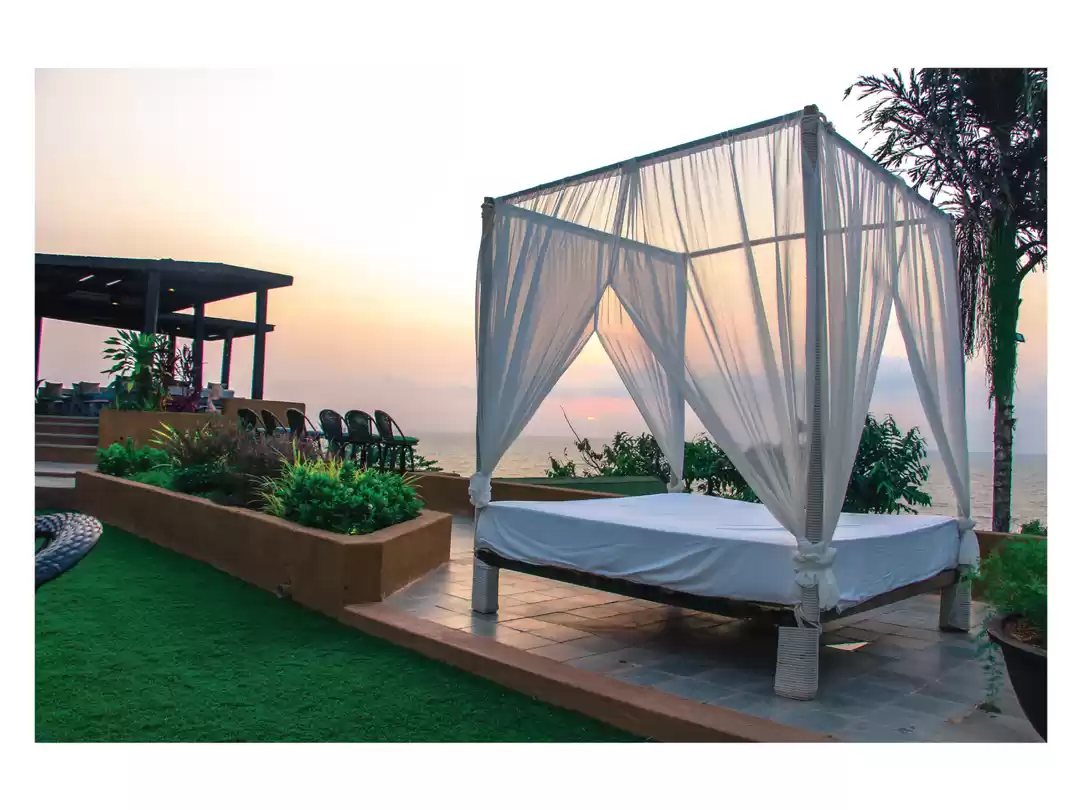 Photo of Ditch Daydreaming Ab