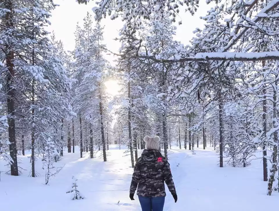 Photo of Husky Sledding, Ice 
