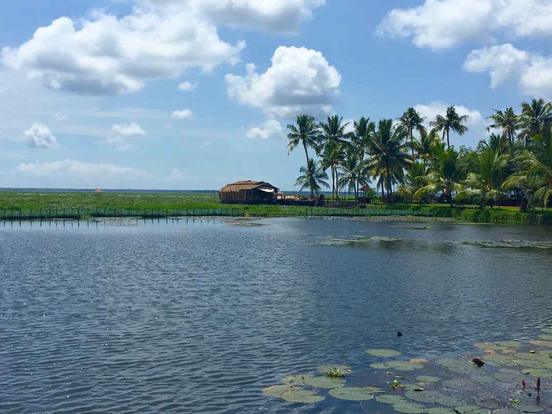 Photo of Floating on the serene backwaters of Kerala!