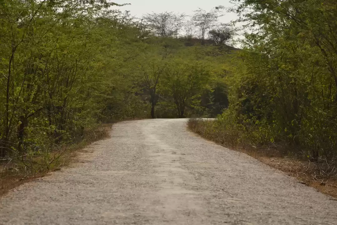 Photo of Exploring the debarr