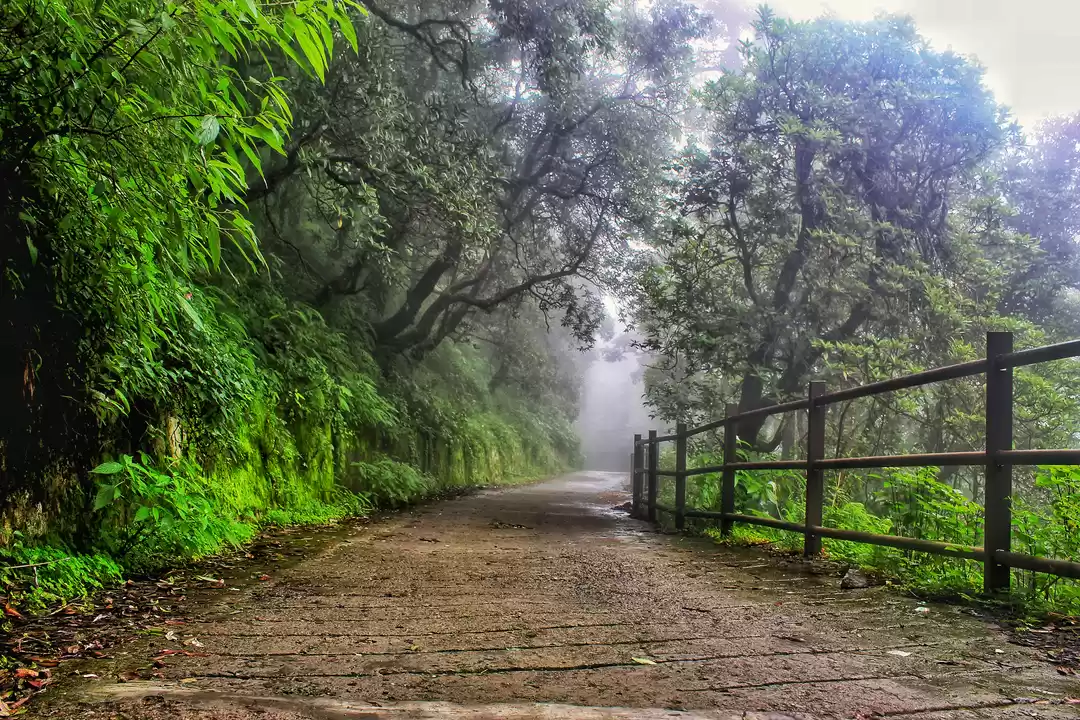 Photo of Landour- An utopia o