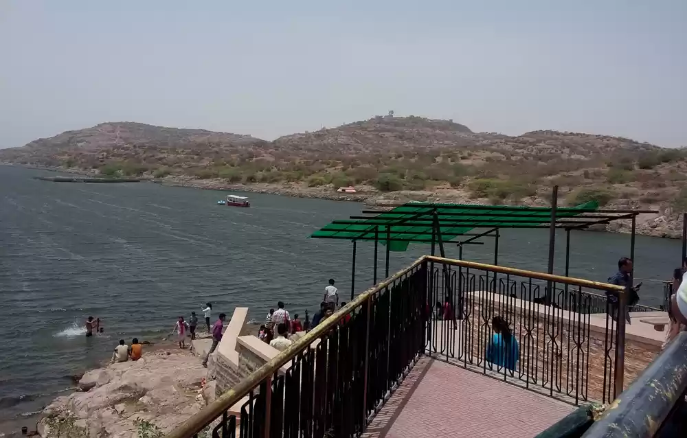 Photo of Machia- New Addition