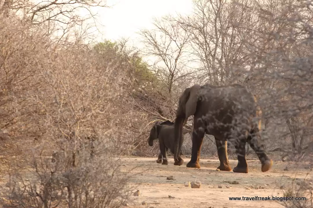 Photo of SA road trip (1): To