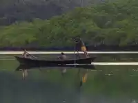 Photo of The Pristine Andaman