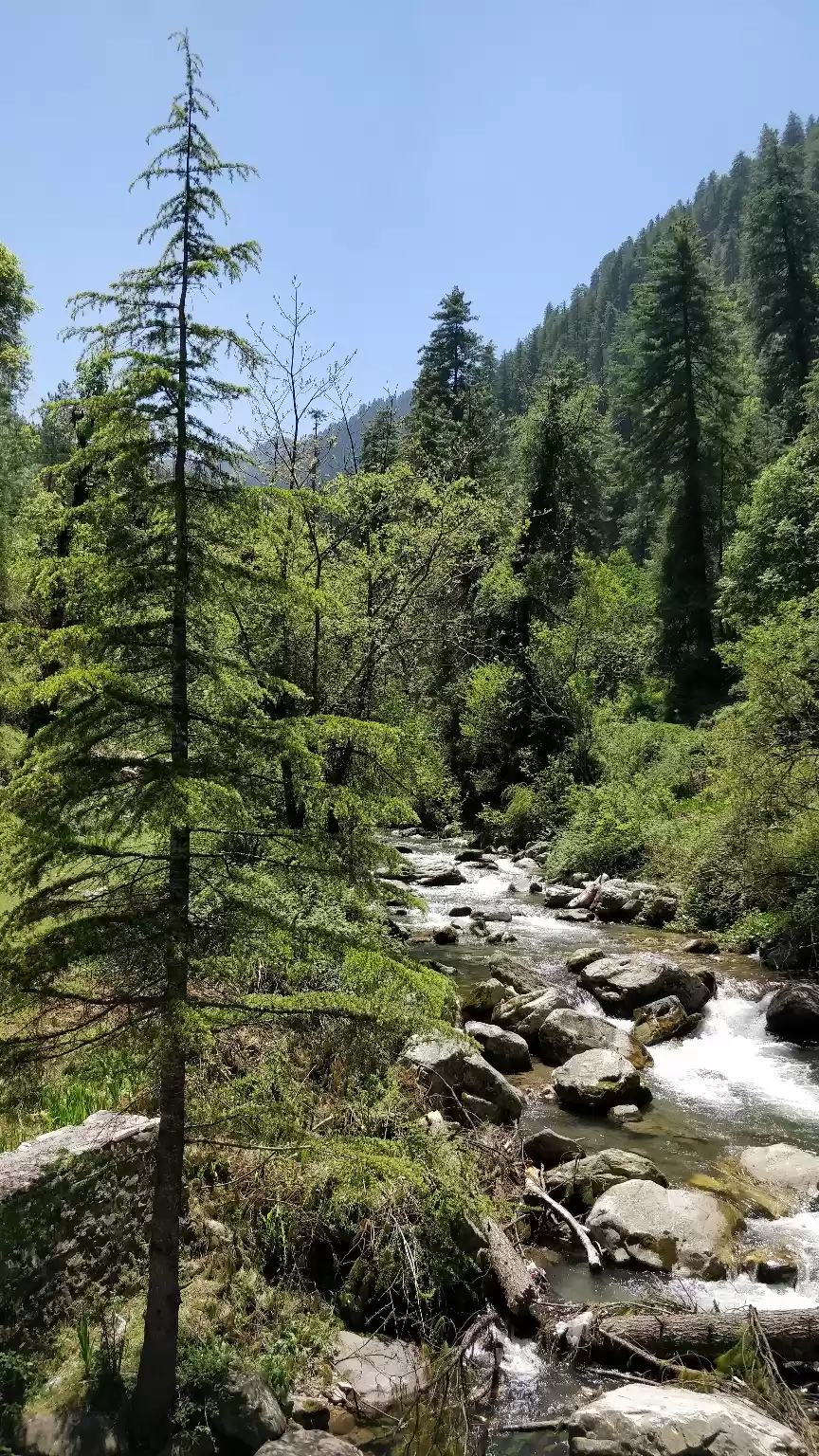 Photo of The Hidden gem of Hi