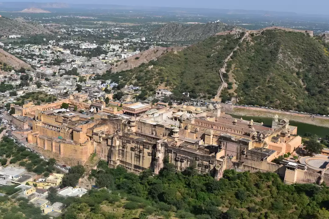 Photo of A Forever Vibrant Ja