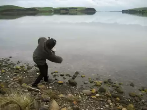 Photo of New Zealand: The Gre