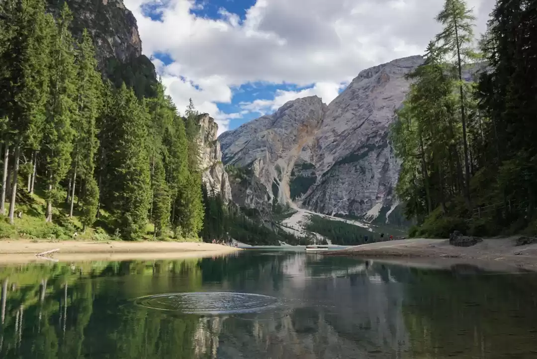 Photo of Had Your Fill Of The