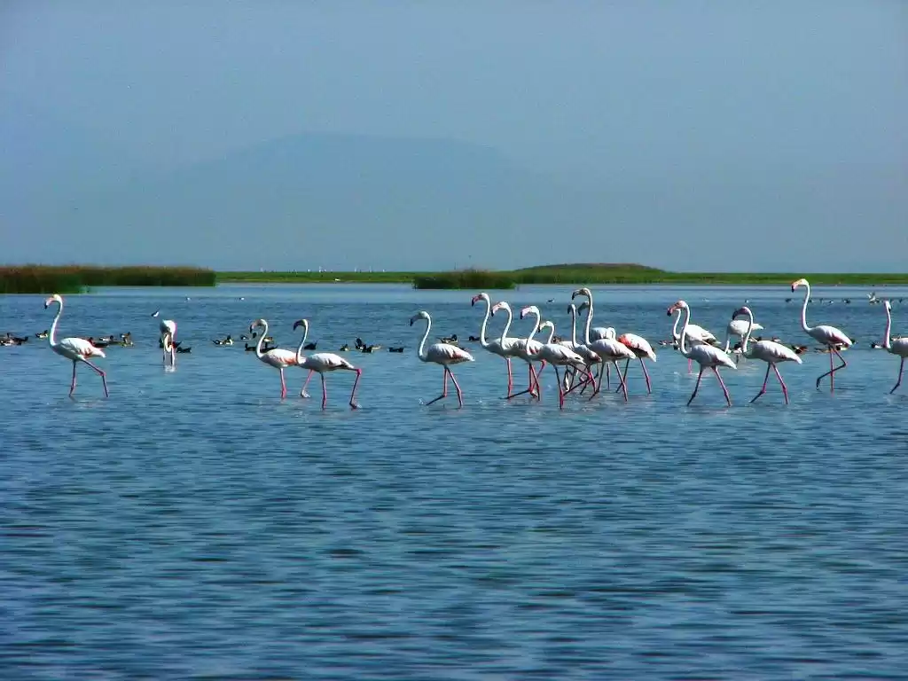Photo of Odisha, Paradise for