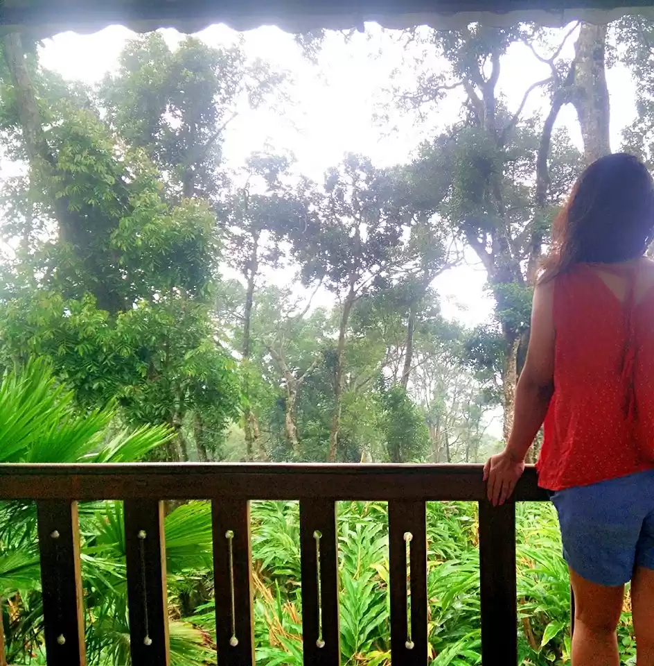 Photo of Munnar: A hidden Gem