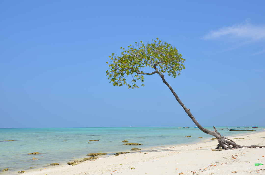 Andaman Nicobar Trip Read Andaman And Nicobar Travel Guide