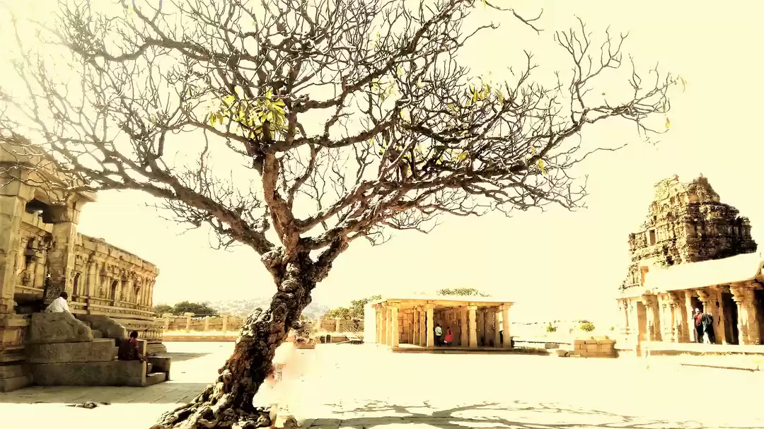 Photo of Hampi - The First Im