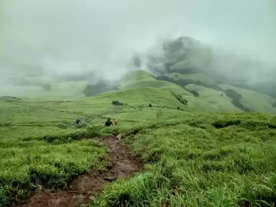 Photo of Kudremukh Trek: Pass