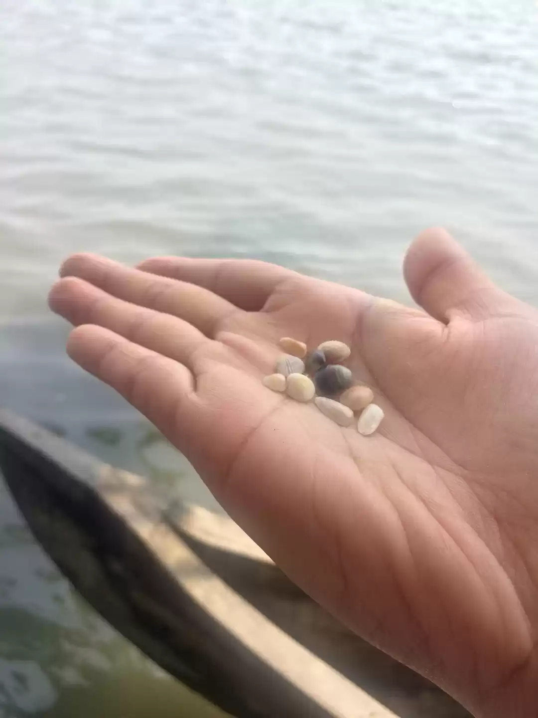 Photo of How to spend a pocke