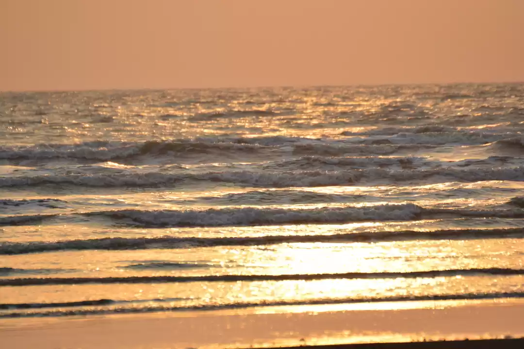 Photo of Exploring The Beauty