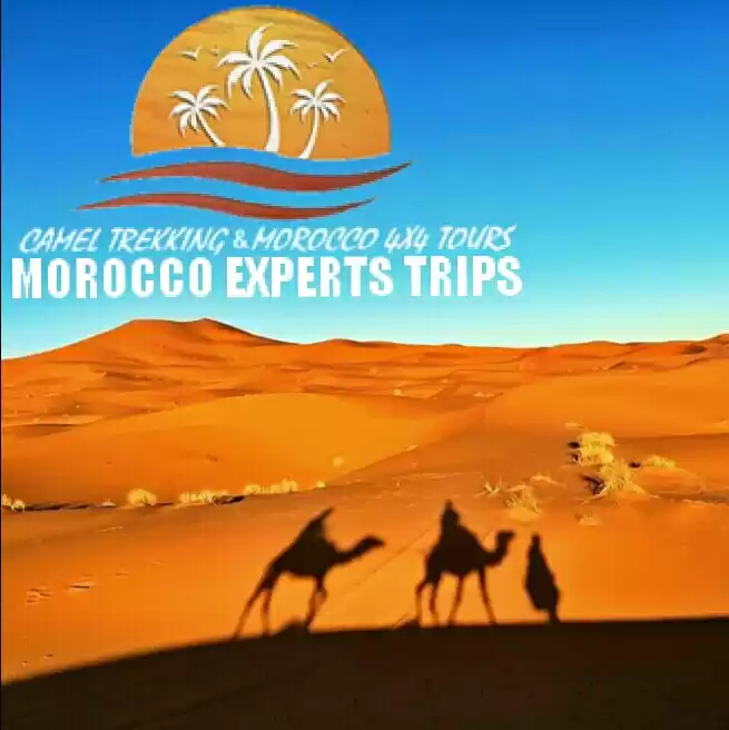 Photo of moroccoexpertstrips