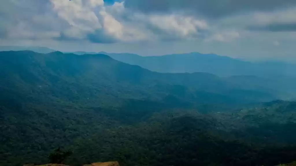 Photo of Coorg - Where Nature