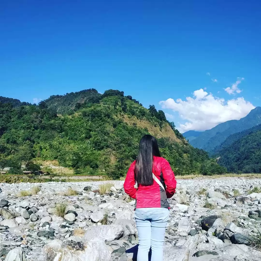 Photo of Reasons why Travelli