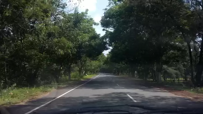 Photo of Puri - Into the land