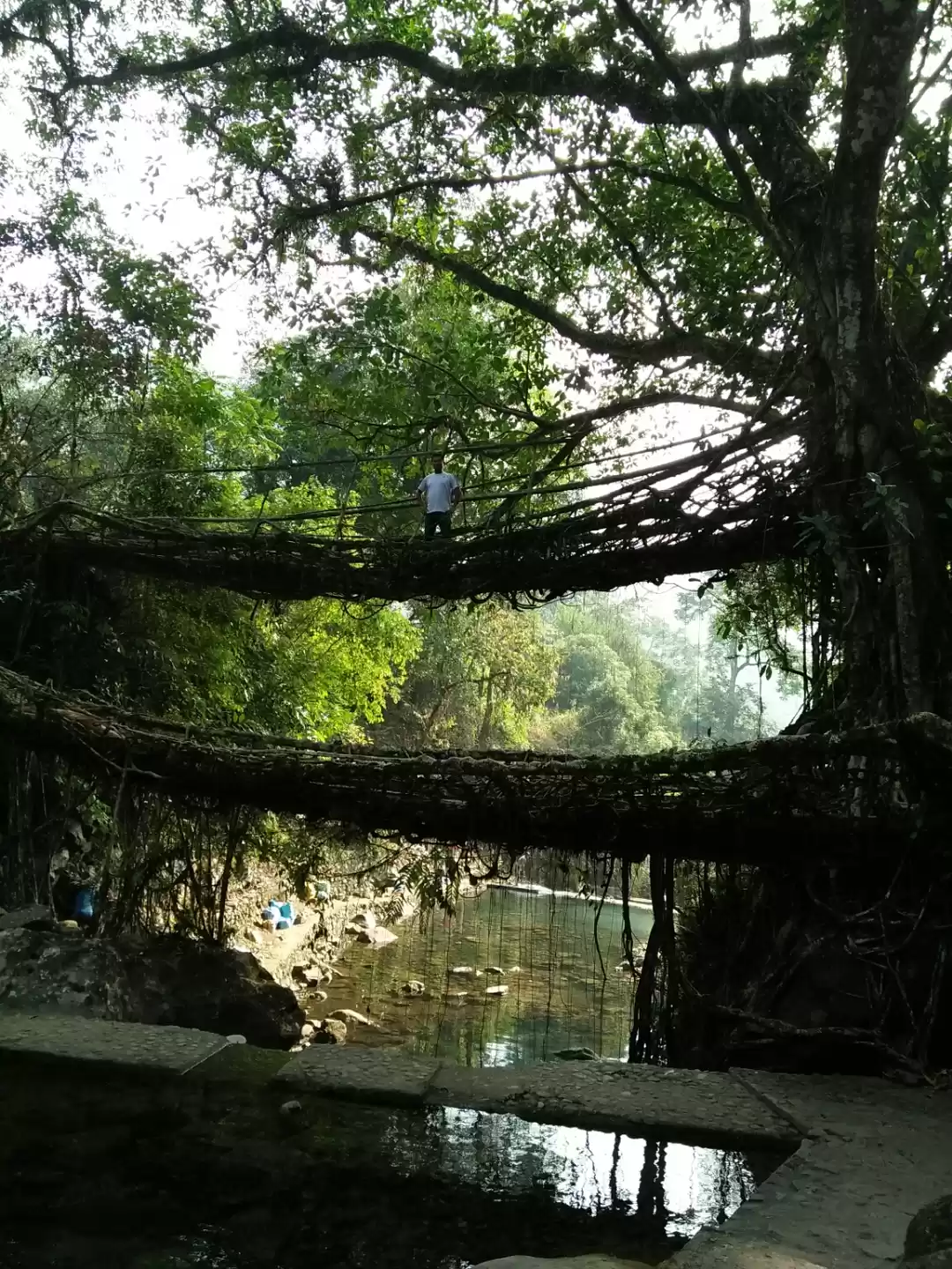 Photo of Escape into the Scot