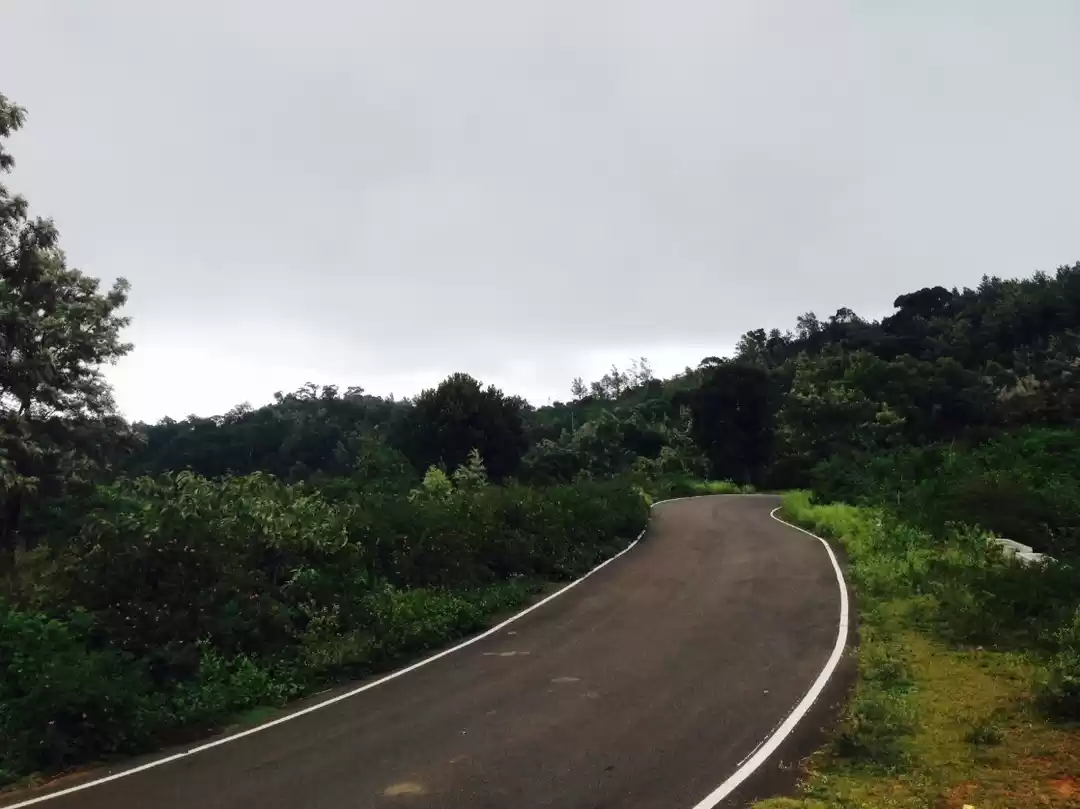 Photo of Beautiful untouched 