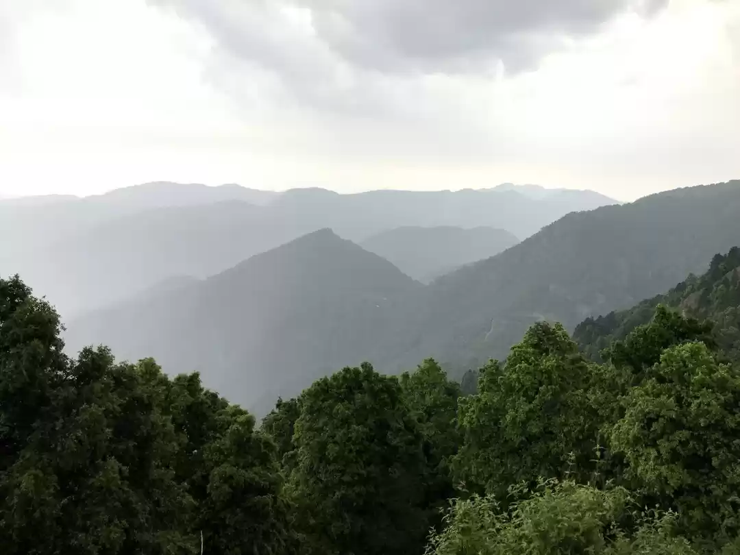 Photo of Your Place is consta