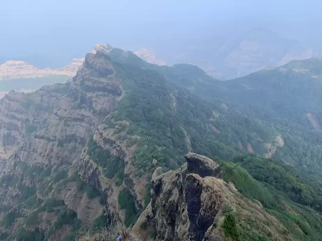 Photo of Seasons and Moments